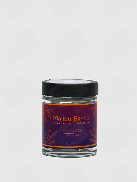 Hill Valley Malibu Exotic 3g 10 - Fleurs CBD Premium Californie organic fruits exotiques - Poppers Store