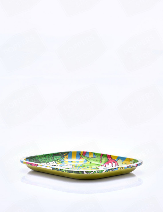 10 plateaux de roulage skeleton